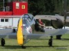 Yak 11