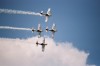 Flying Bulls