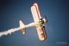 Stearman Wingwalking