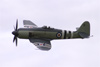 Sea Fury