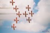 Snowbirds