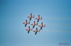 Snowbirds