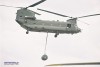 Chinook