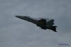 Hornet