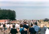 Crowds