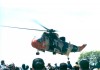 Sea King