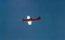 WT_reno2000sc_69.jpg (1021 )