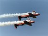 Los Halcones 