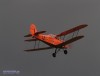 Stampe