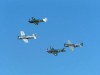 Warbirds